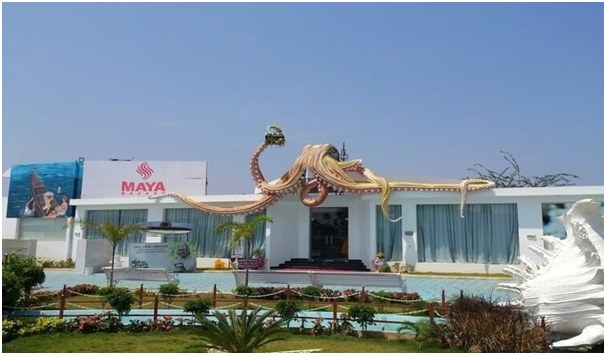 Sea-Shell-and-Fossil-Museum